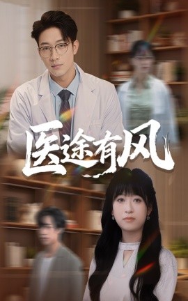 医途有风(全集)